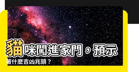 黑貓進家門|貓進家門預示什麼？5種吉兆揭秘